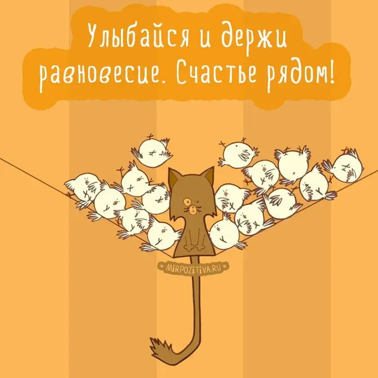 Открытка Улыбнись - Забавная открытка с котом и птицами | Красивая открытка #80