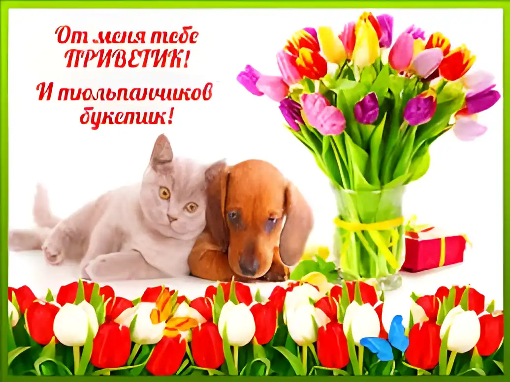 Открытка Открытки с приветствиями  - Открытка с котенком, щенком и тюльпанами | Красивая открытка #165