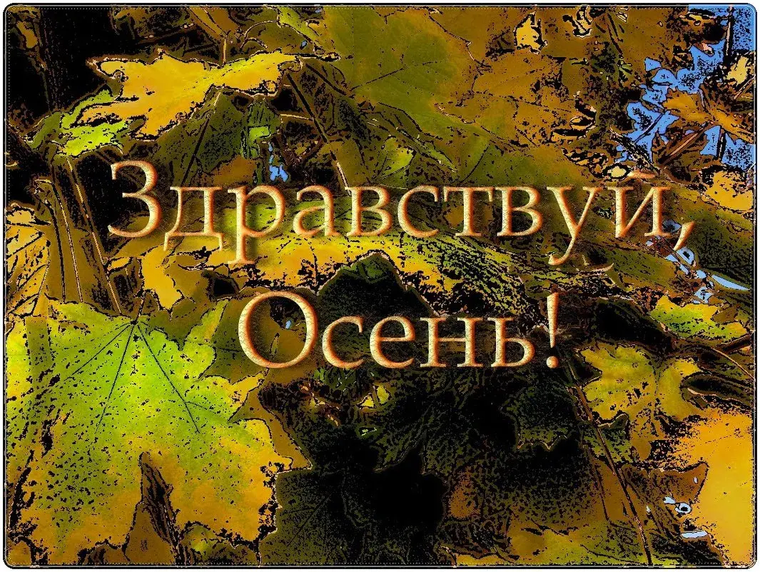 Открытка С первым днём осени - Открытка с осенними листьями и надписью "Здравствуй!" | Красивая открытка #27