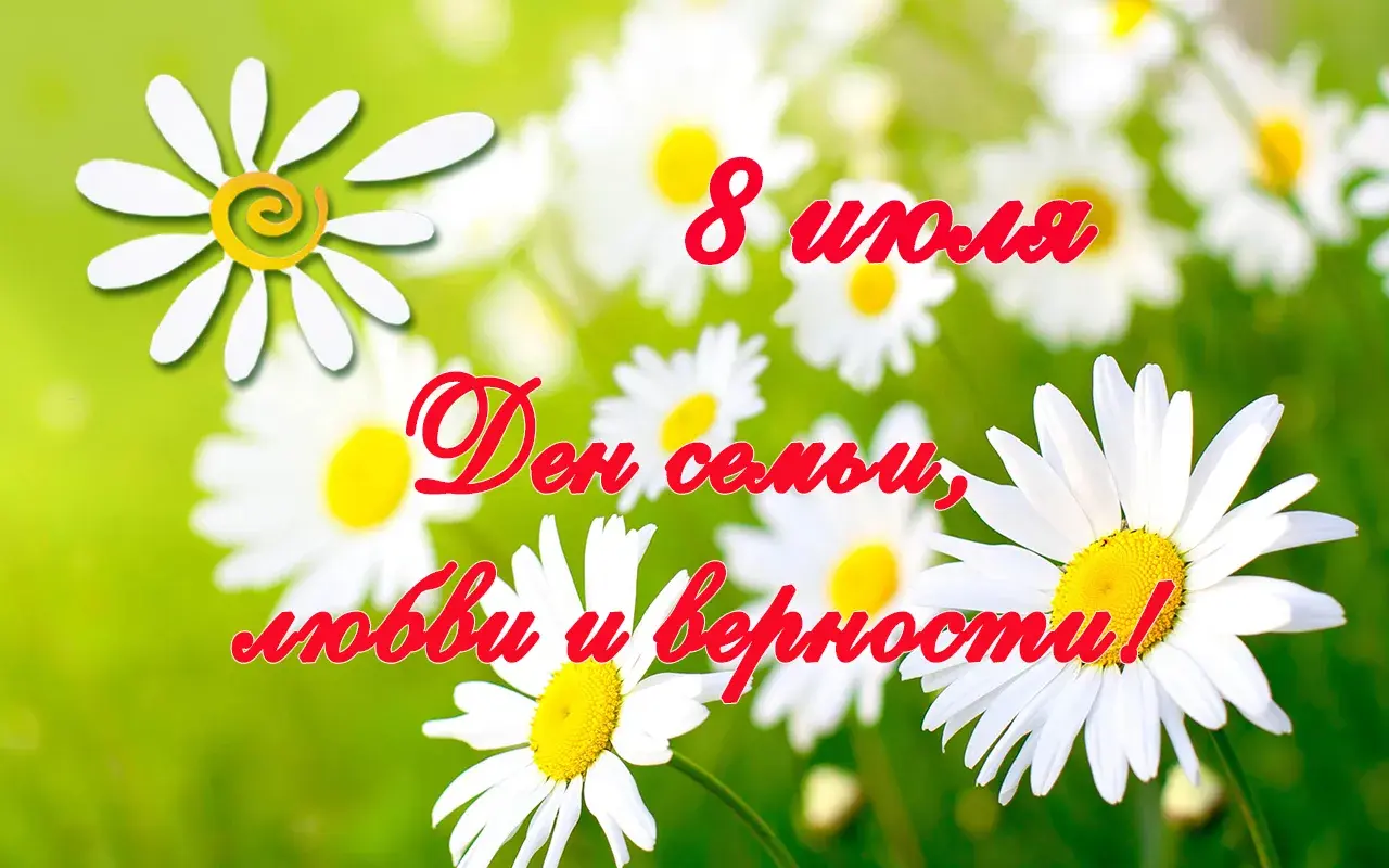 Открытка День семьи - Поляна с ромашками | Красивая открытка #84
