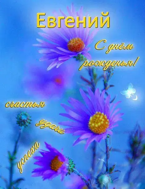 Открытка открытки с именем Евгений - Открытка с фиалками и подсолнухом | Красивая открытка #101