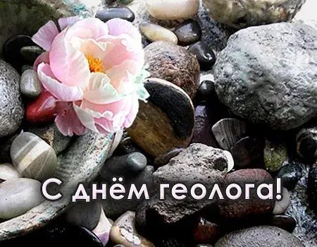 Открытка День геолога - Открытка с розовым цветком среди камней | Красивая открытка #5
