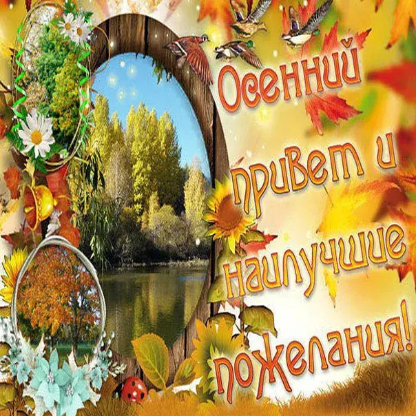 Открытка Осенний приветик - Осенняя открытка: желтые листья, река и цветы | Красивая открытка #12