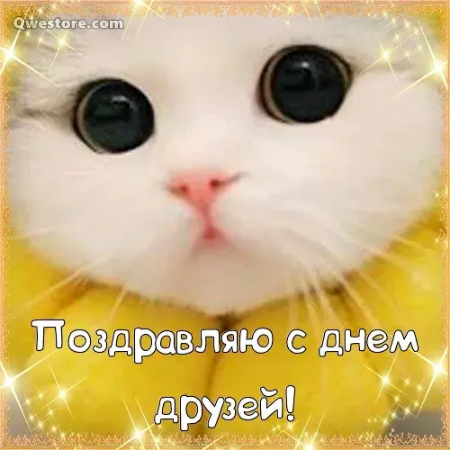 Открытка День друзей - Открытка с котенком: С днем дружбы! | Красивая открытка #3