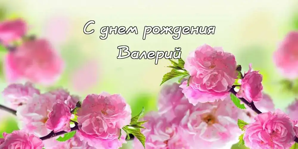 Открытка Открытки с именем Валерий - Цветущая сакура: открытка с днем рождения | Красивая открытка #237
