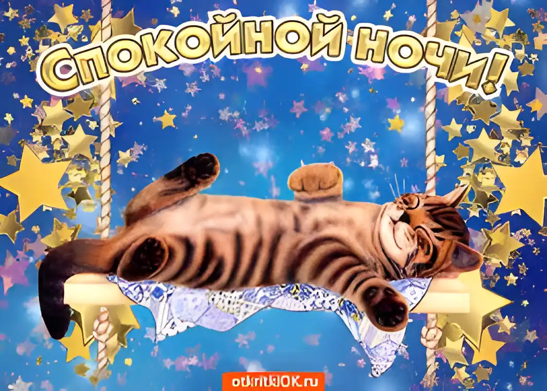 Открытка Спокойной ночи - Кошка на качелях: открытка с милым котиком | Красивая открытка #216
