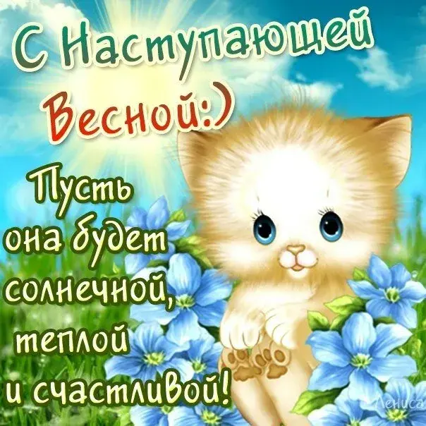 Открытка времена года - Открытка с котенком на лугу | Красивая открытка #39