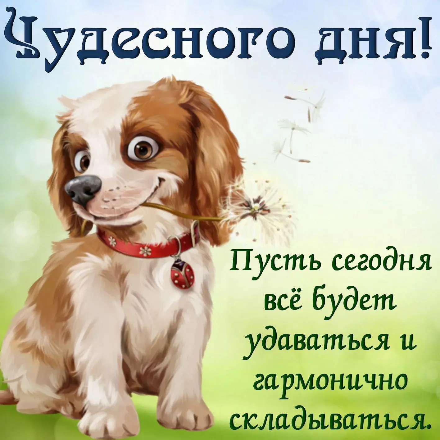 Открытка добрый день - Открытка с щенком: милый подарок на день рождения | Красивая открытка #131