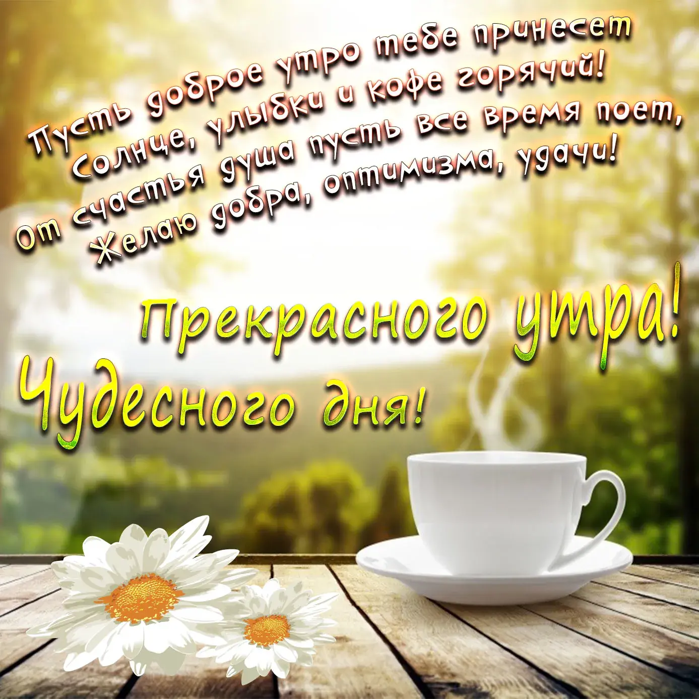 Открытка С ромашками - Открытка: полевые цветы, чашка кофе, солнечное утро | Красивая открытка #33