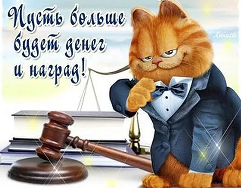Открытка День юриста - Котенок-судья с молотком: забавная открытка | Красивая открытка #91