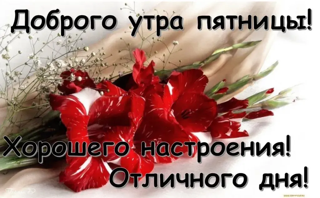 Открытка Доброе утро пятница - Отличного дня! | Красивая открытка #27