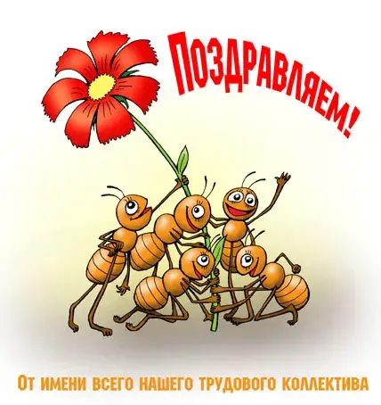 Открытка Открытки на день рождения руководителю - Открытка с муравьями и цветком | Красивая открытка #20
