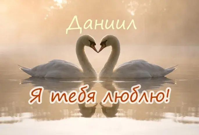 Открытка Открытки с именем Даниил/Данил - Открытка с лебедями: Свадебное поздравление | Красивая открытка #215