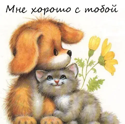 Открытка Открытки я рядом - Открытка с котенком и щенком, цветы | Красивая открытка #103