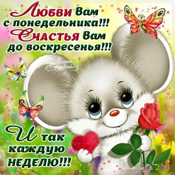 Открытка Дни недели - Открытка с котенком и бабочками | Красивая открытка #49
