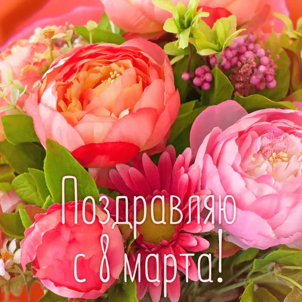 Открытка 8 марта - Поздравление с 8 марта: букет нежных роз | Красивая открытка #118
