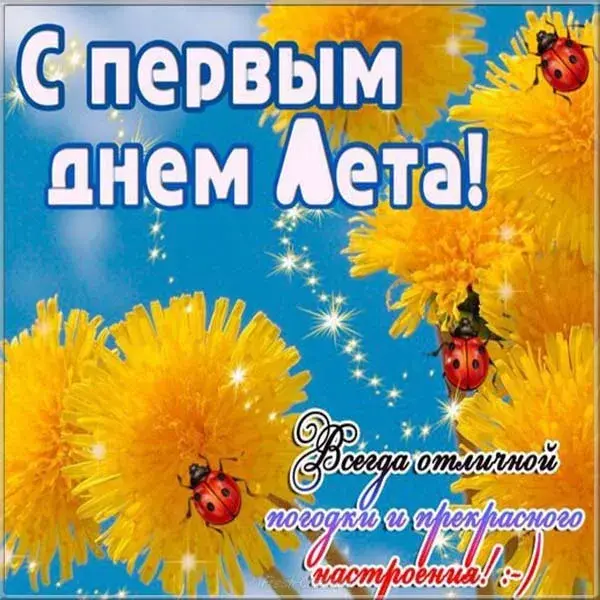 Открытка Первый день лета - Поздравления с Днем Рождения: Красивая открытка с одуванчиками | Красивая открытка #143