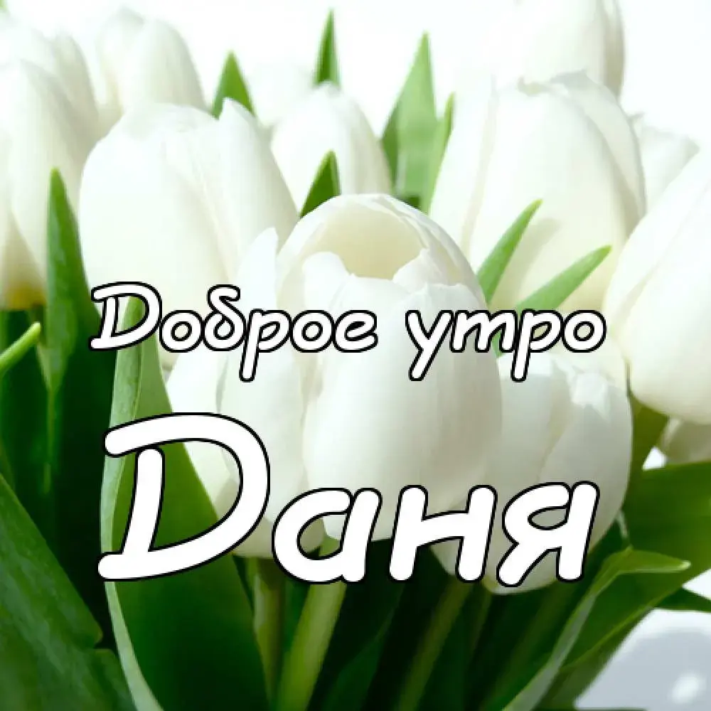 Открытка Открытки с именем Даниил/Данил - Открытка: Белые тюльпаны на зелёном фоне. Надпись: "Доброе утро" и "Дня" | Красивая открытка #20