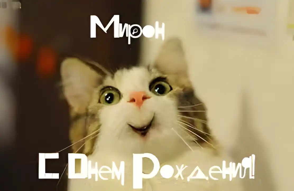 Открытка Открытки с именем Мирон  - Открытка с котом на день рождения | Красивая открытка #97