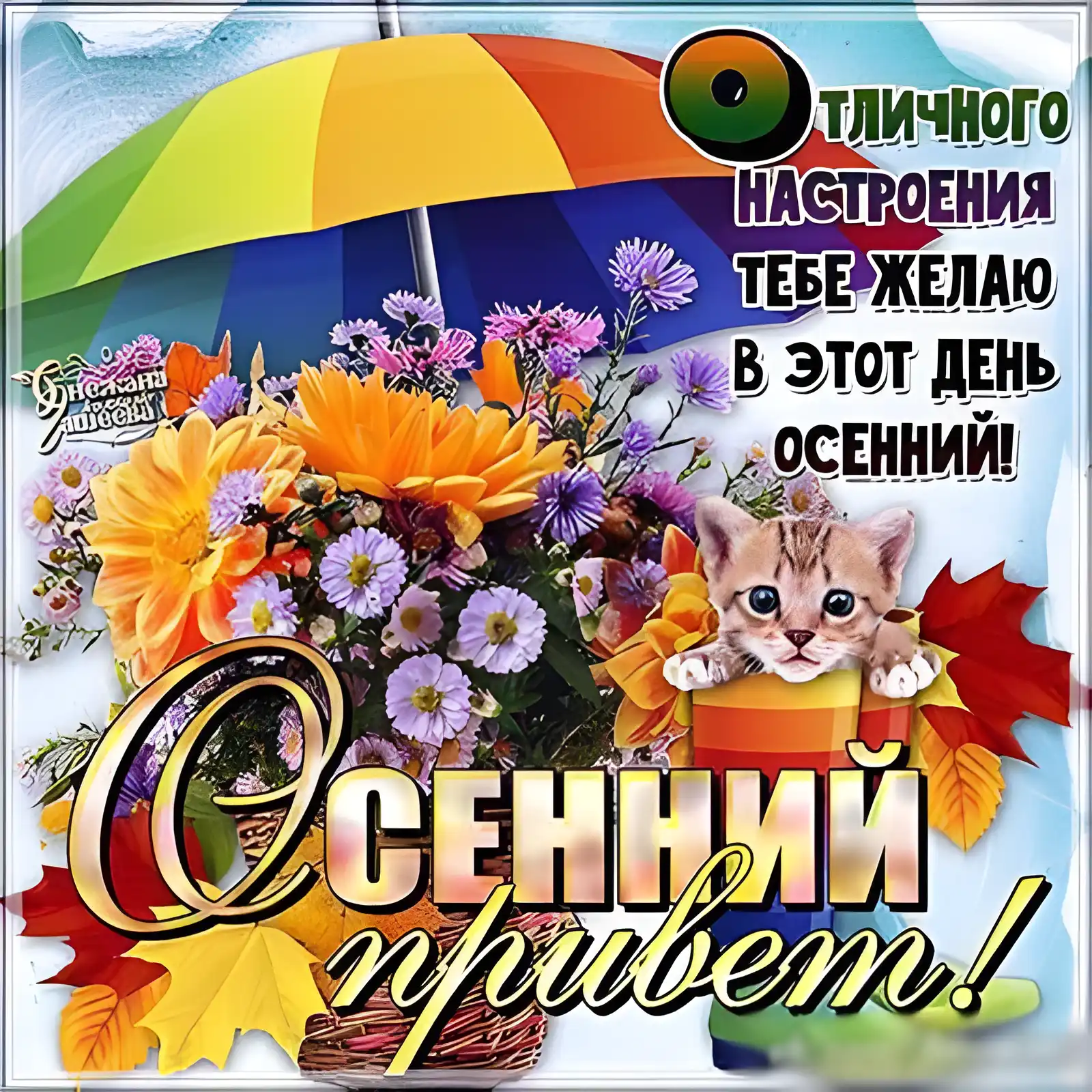 Открытка Осенний приветик - Открытка с котенком на фоне осенней листвы | Красивая открытка #76