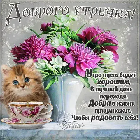 Открытка Доброе утро - Открытка с котенком и цветами: добра и радости | Красивая открытка #290
