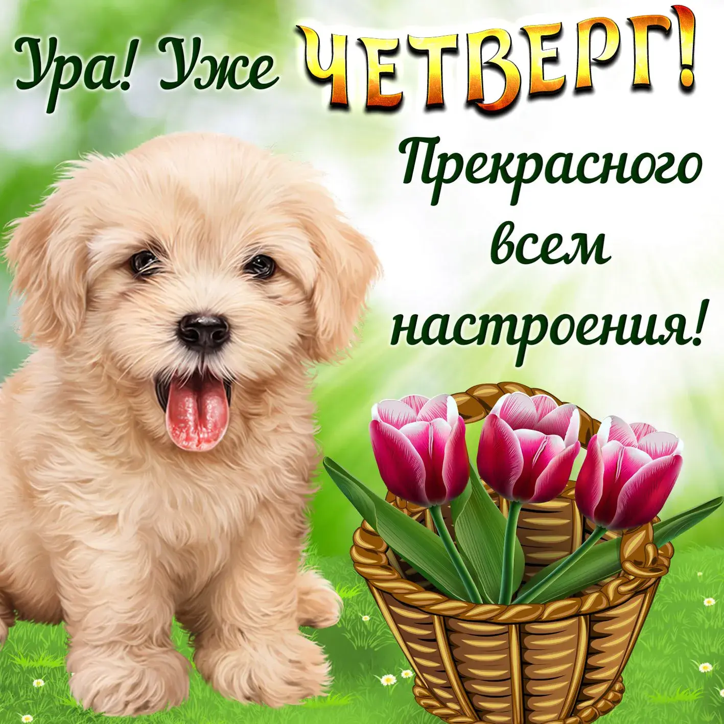 Открытка С четвергом - Собака и тюльпаны в корзине: Открытка с весной | Красивая открытка #9