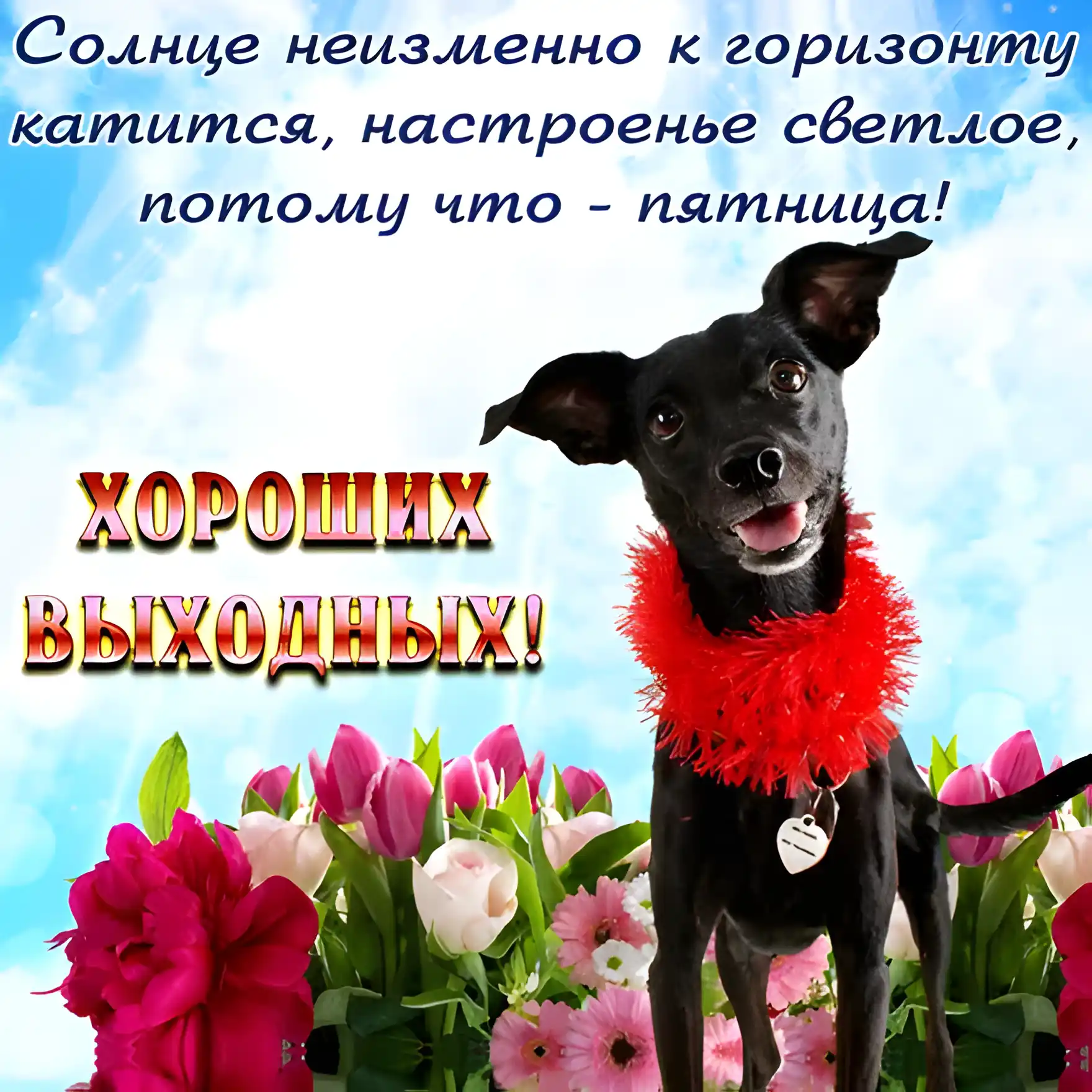 Открытка Хорошей пятницы - Собака с цветами: Открытка с милым щенком | Красивая открытка #51