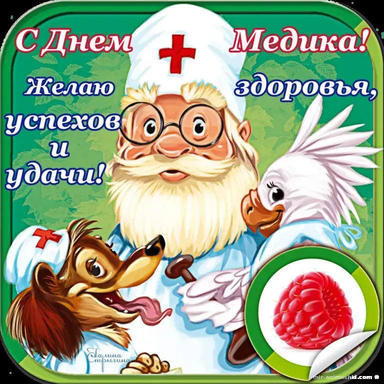 Открытка День медика - Открытка с врачом и уточкой | Красивая открытка #91