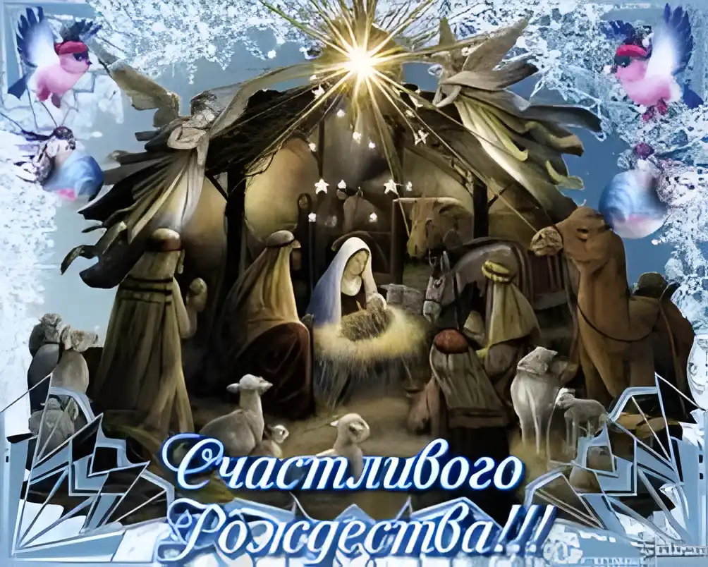 Открытка Рождество Христово - Рождество: Богоматерь, младенец, ангелы и животные | Красивая открытка #144
