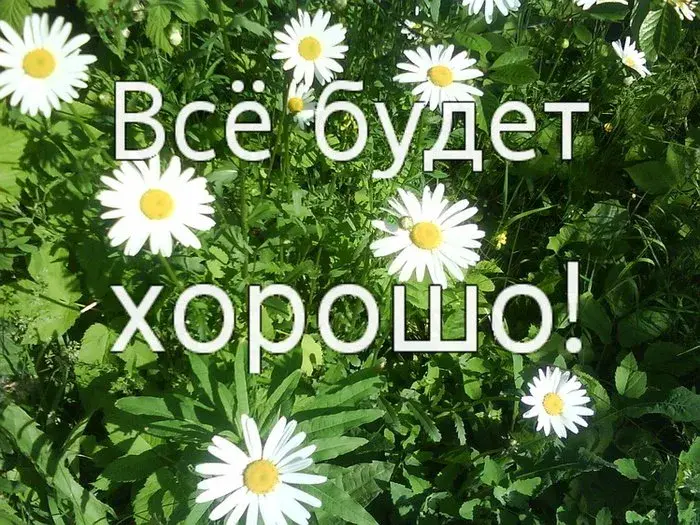 Открытка Все будет хорошо - Полевые цветы: открытка с ромашками | Красивая открытка #25