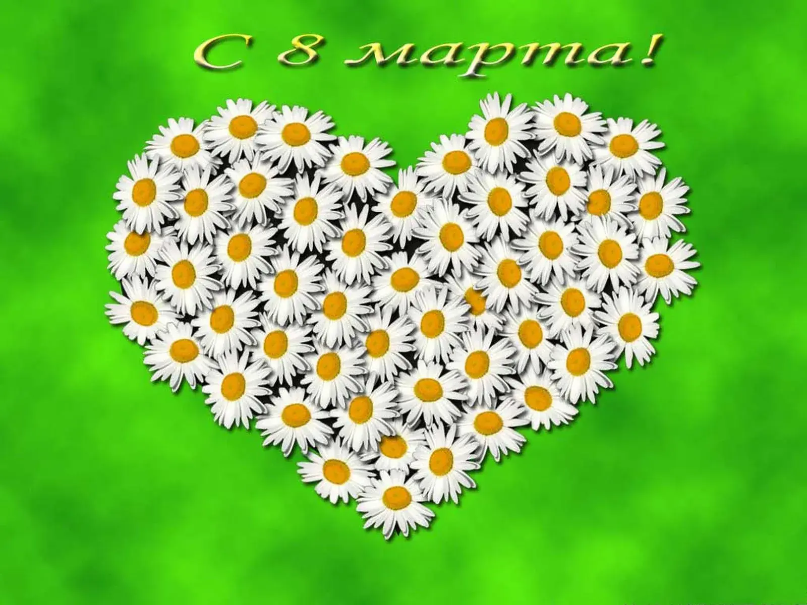 Открытка 8 марта - Открытка с ромашками в форме сердца | Красивая открытка #399