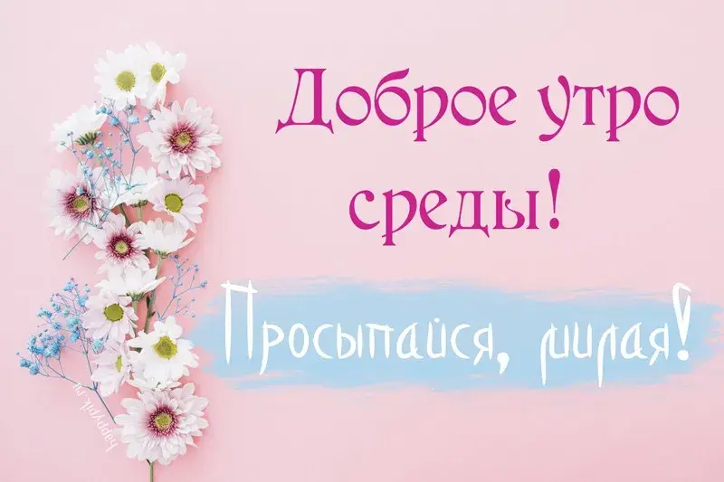 Открытка Среда - Открытка с ромашками | Красивая открытка #28