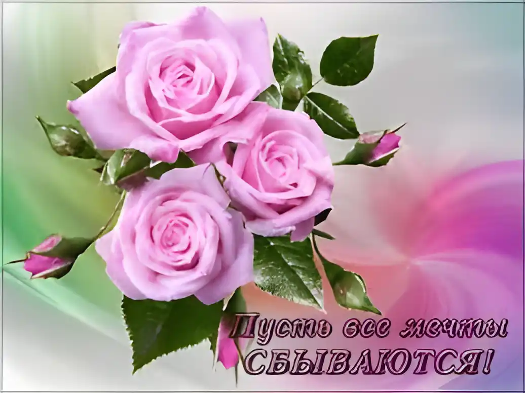 Открытка Открытки пусть сбудутся мечты - Букет розовых роз: нежные открытки с цветами | Красивая открытка #63
