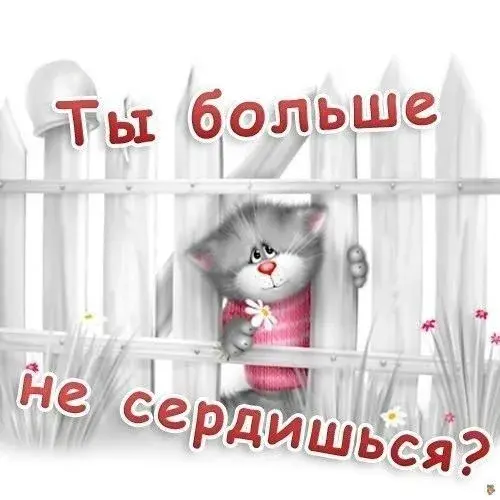 Открытка Прости - Котенок за забором с цветком - открытка | Красивая открытка #11