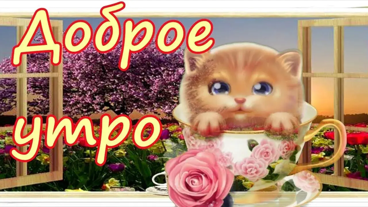 Открытка С добрым утром - Милый котёнок и розы: Открытка с котенком | Красивая открытка #17