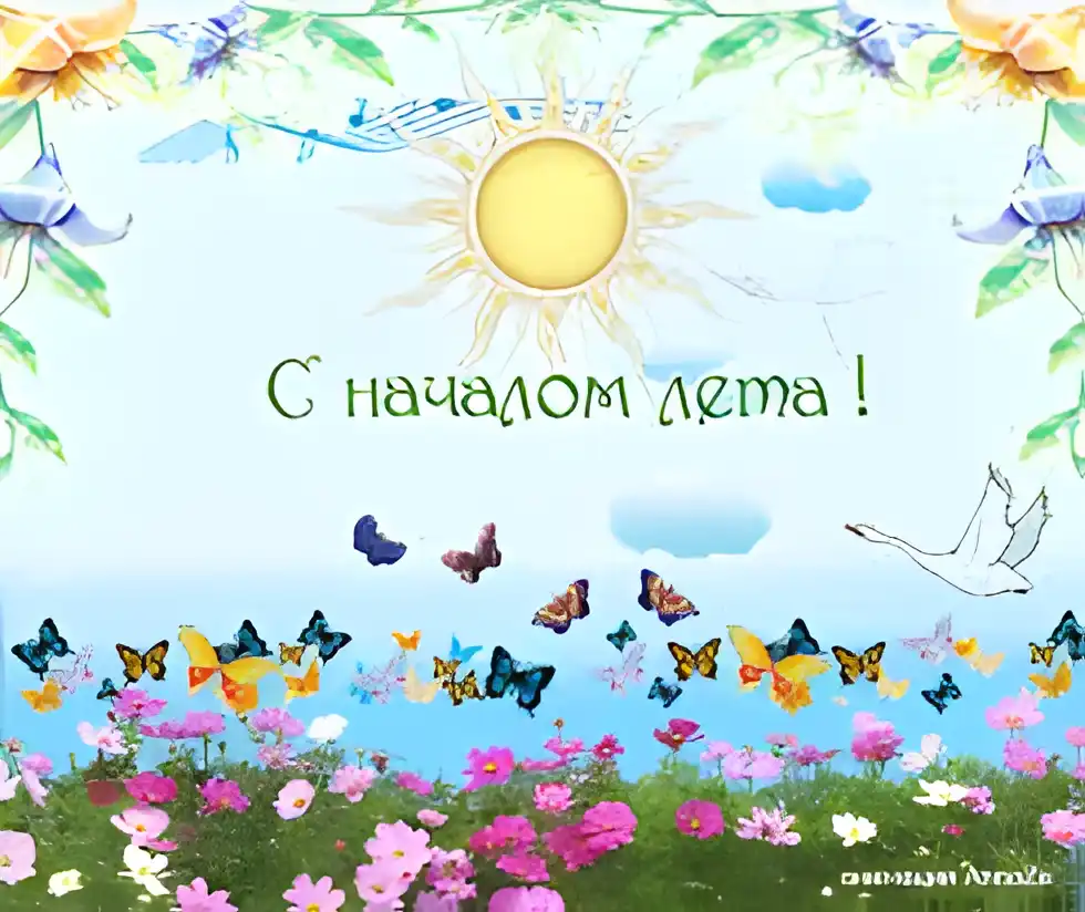 Открытка открытки с первым днем лета  - Открытка С Днём Рождения: Цветы, Бабочки, Птицы | Красивая открытка #61