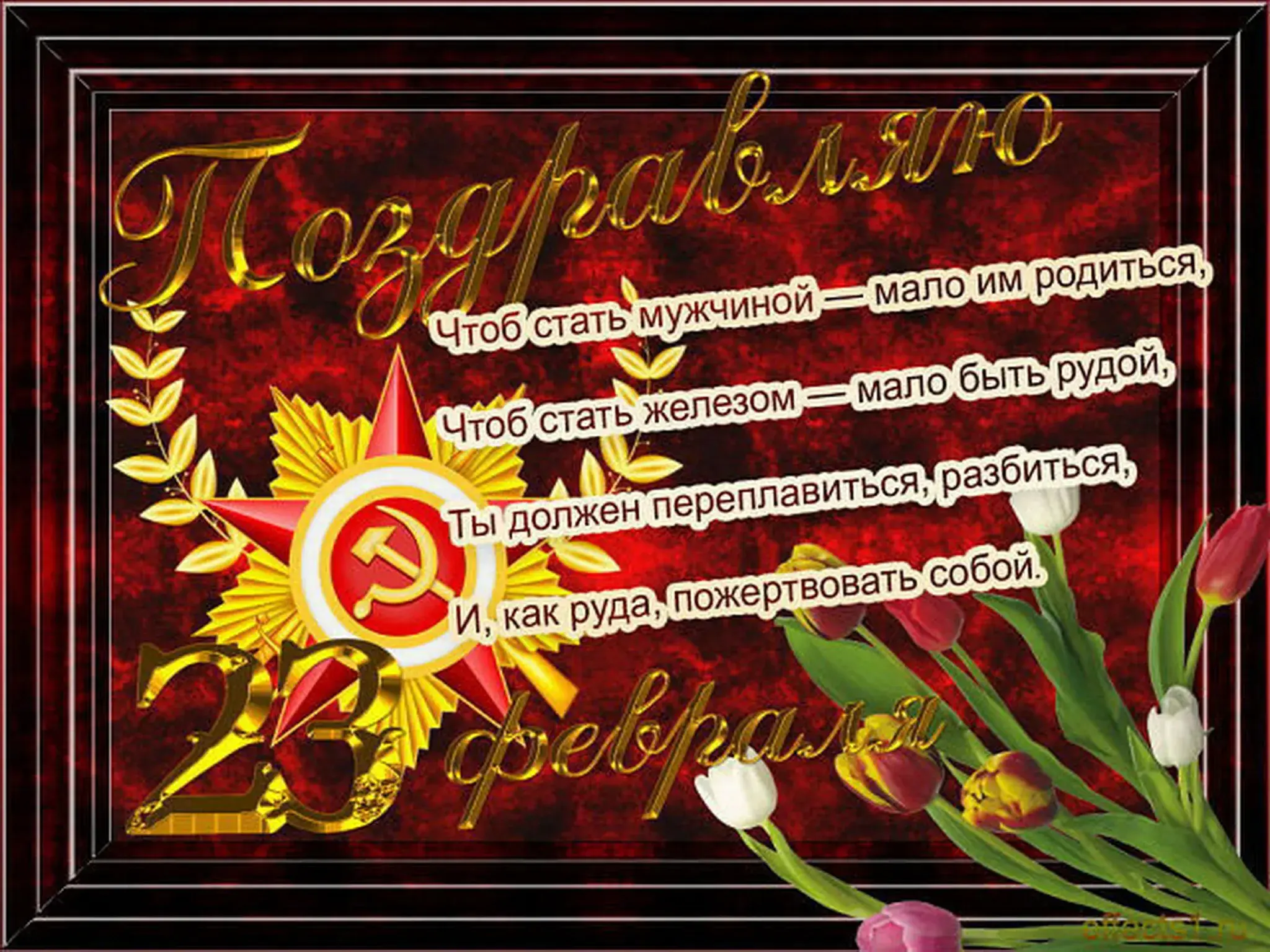 Открытка 23 февраля - 23 февраля - С Днём защитника Отечества! | Красивая открытка #157