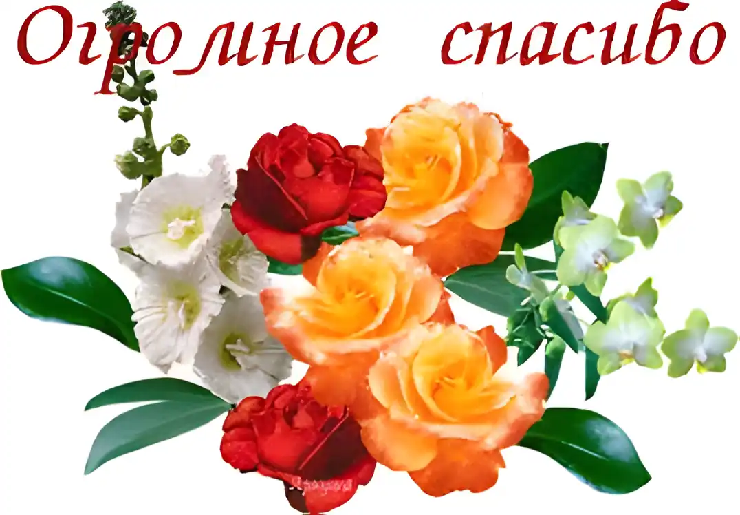 Открытка Благодарность - Открытка с красными и оранжевыми розами, белыми цветками | Красивая открытка #147