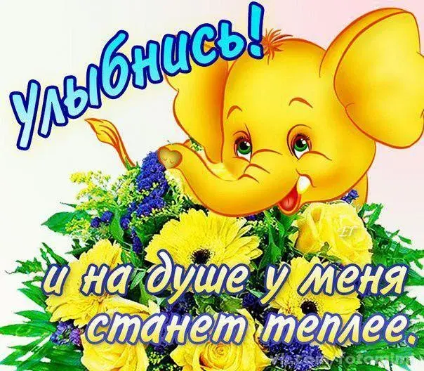 Открытка Открытки улыбнись - Открытка с милым слонёнком и цветами | Красивая открытка #113