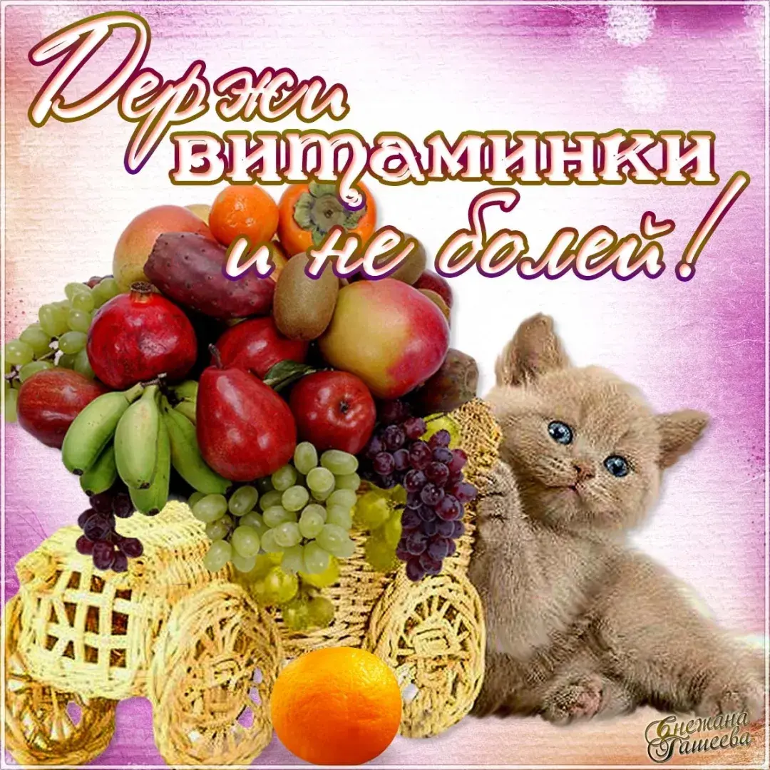 Открытка Выздоравливай - Спелые фрукты и котенок: открытка с дарами лета | Красивая открытка #41