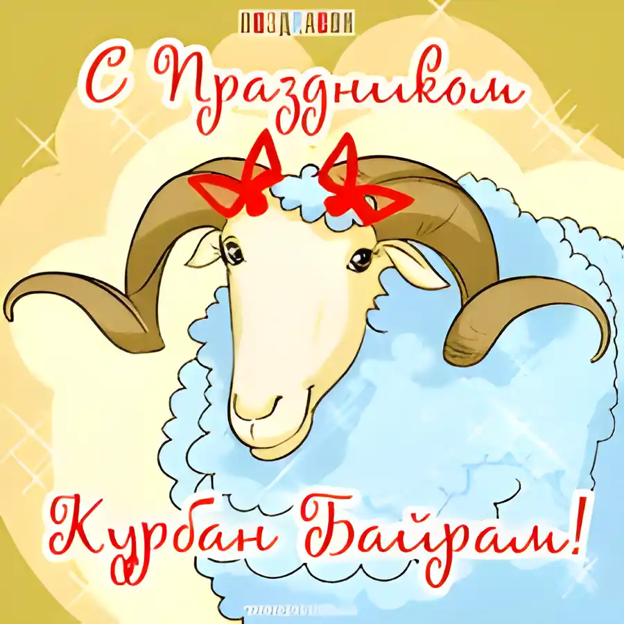 Открытка Открытки на Курбан Байрам - Открытка с овцой: поздравления с Курбан-Байрам | Красивая открытка #28