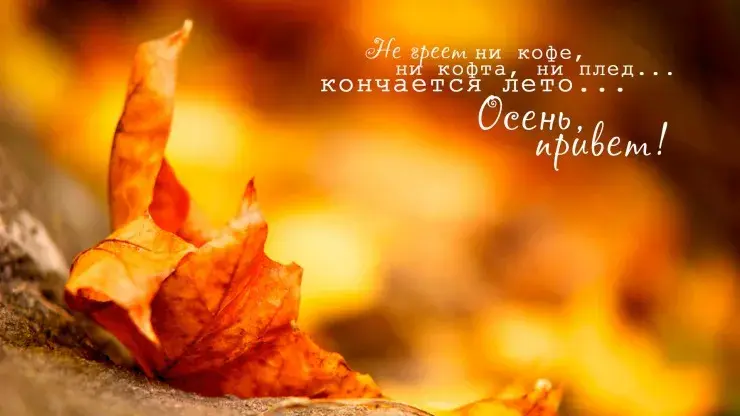 Открытка Осенний приветик - Осенние листья: фото, открытка, природа | Красивая открытка #88