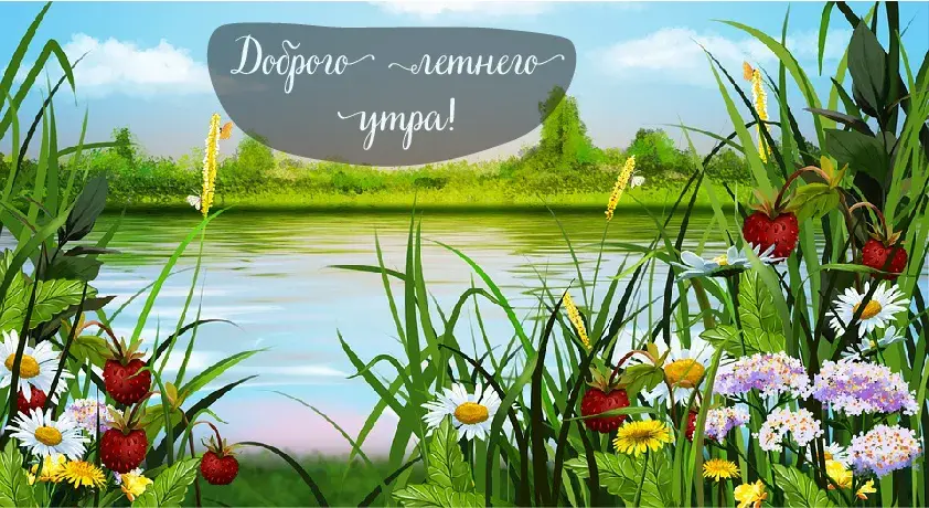 Открытка Лето - Летний пейзаж: поле, река, ромашки, клубника | Красивая открытка #29