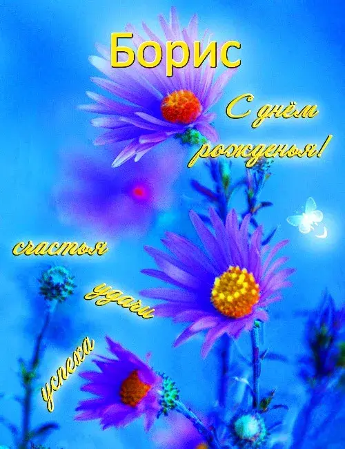 Открытка открытки с именем Борис - Яркая открытка с фиалками и цветами | Красивая открытка #163