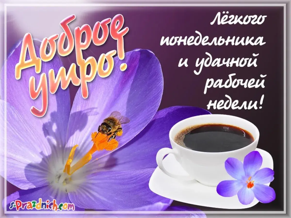 Открытка Доброе утро понедельник - Открытка с цветами и чашкой кофе  Праздник | Красивая открытка #26