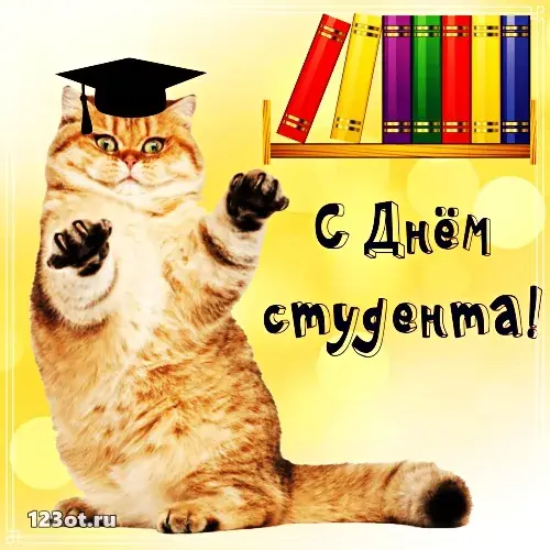 Открытка Открытки с днем студента - Открытка с котом в шапке: С Днём студента! | Красивая открытка #129