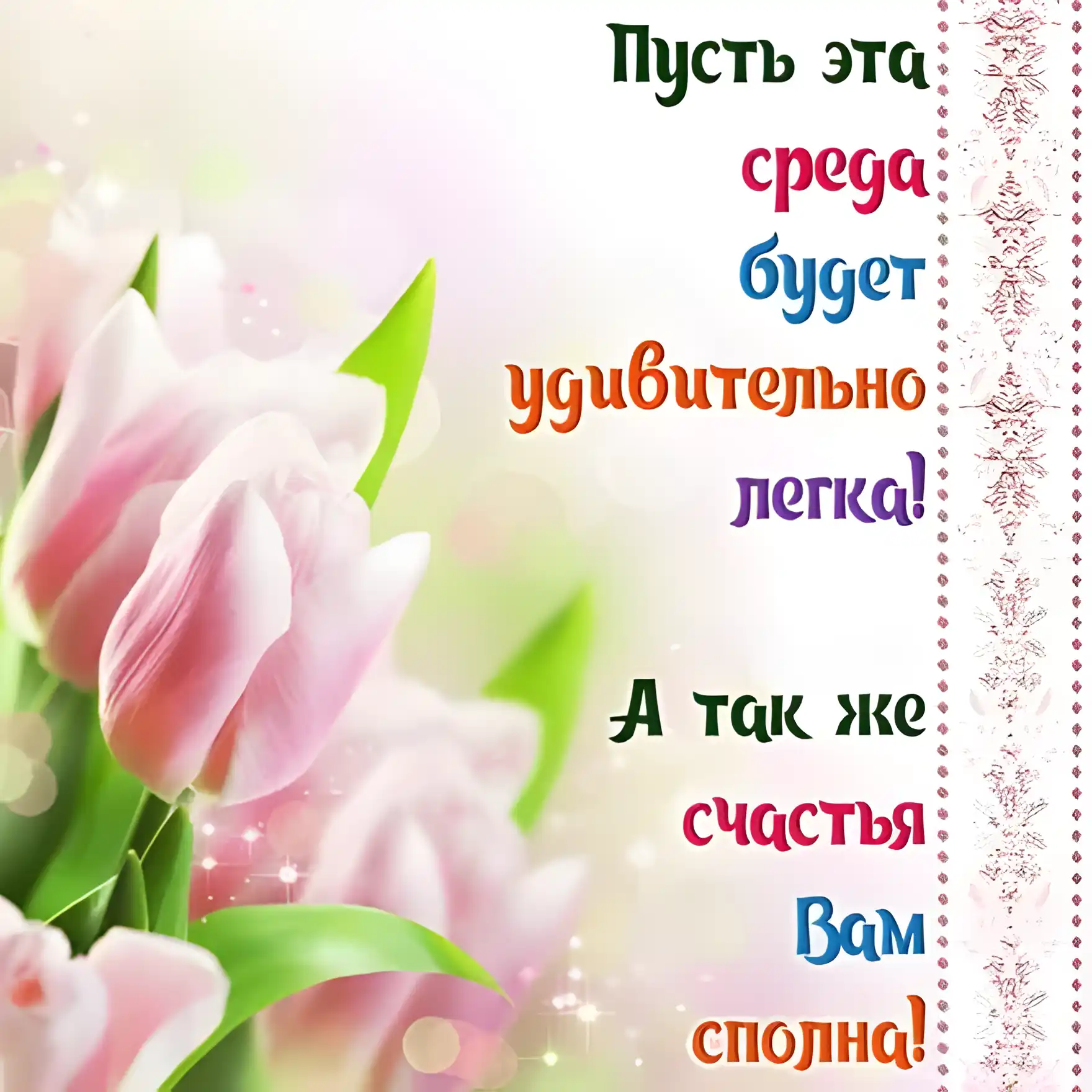Открытка Открытки на среду - Открытка с розовыми тюльпанами | Красивая открытка #162