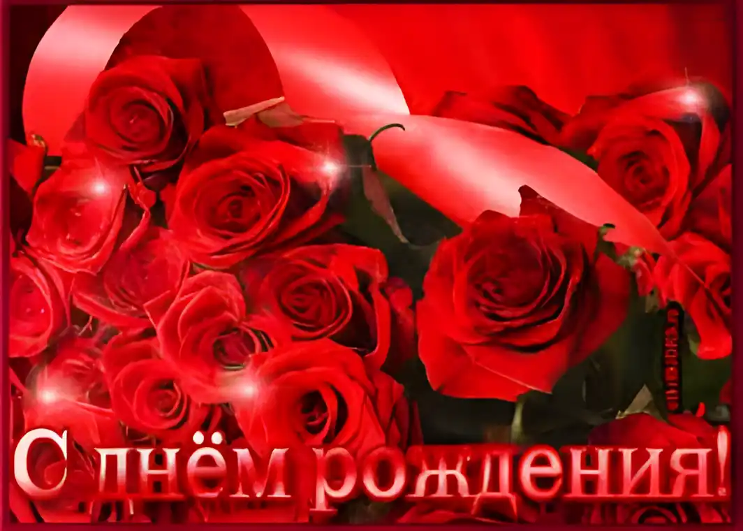 Открытка Открытки с днем рождения - Открытка с красными розами: С днем рождения! | Красивая открытка #78