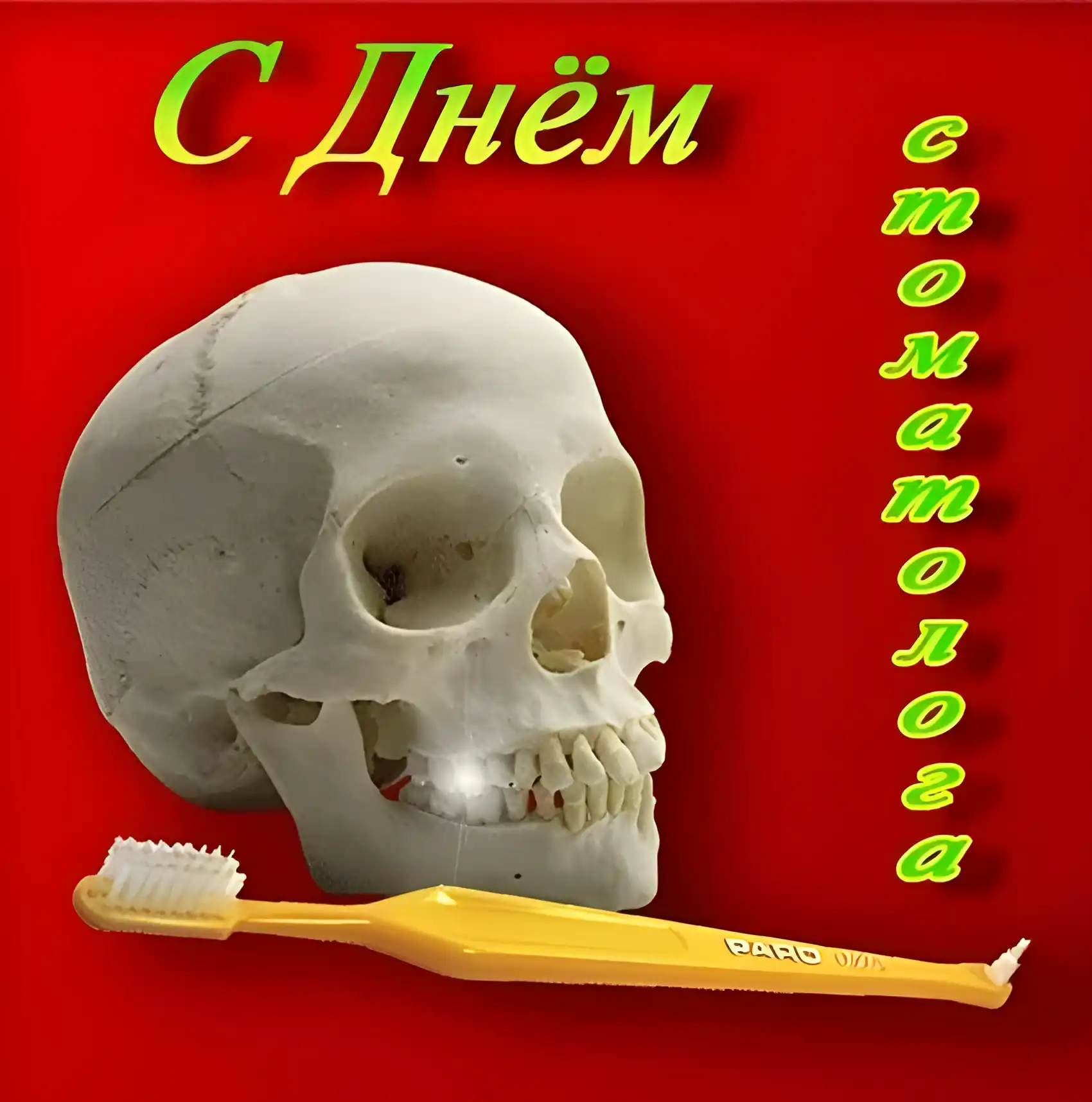Открытка День стоматолога  - Открытка с черепом и зубной щёткой | Красивая открытка #11