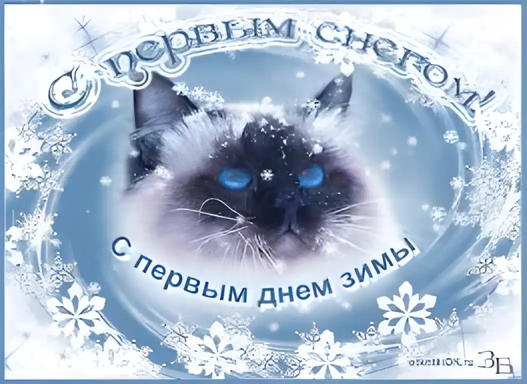 Открытка Открытки зимняя пора - Открытка с котенком в снегу: поздравления с зимой | Красивая открытка #55